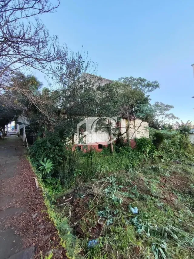 Terreno, foto 5