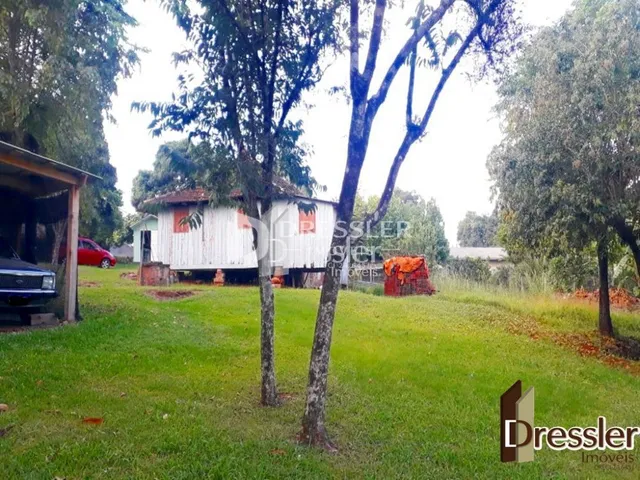 Vista externa de uma propriedade com gramado e árvores em Lajeado.