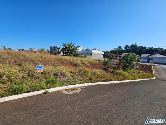 Terreno, foto 5