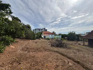 Vista externa de um terreno com vegetação e uma residência ao fundo.