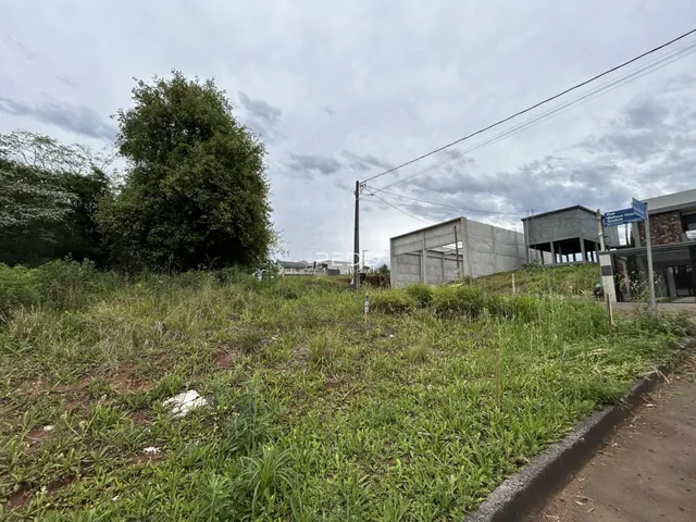 Vista externa de terreno com vegetação densa e estruturas no fundo.