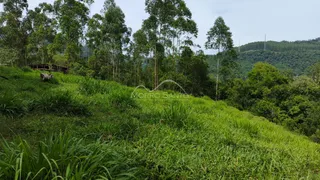 Vista de uma colina verde coberta por vegetação densa.