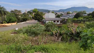 Terreno, foto 2