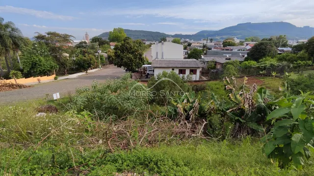Terreno, foto 2