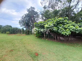 Área rural, foto 13