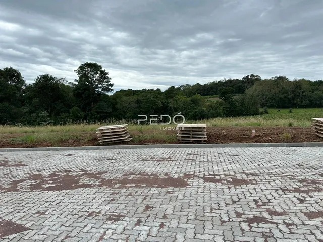 Vista externa de uma propriedade com área pavimentada e vegetação ao fundo.