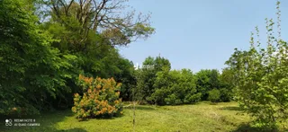 Área rural, foto 24