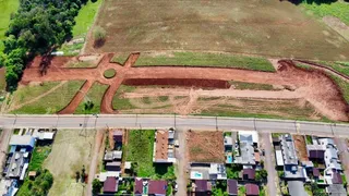 Terreno, foto 3