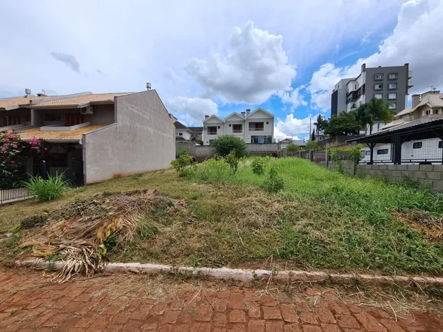 Vista externa de um terreno com grama alta e vegetação seca.