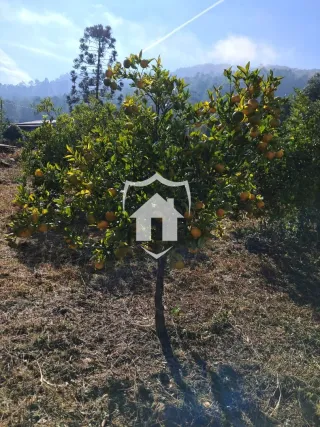 Terreno, foto 5
