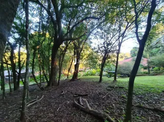 Área rural, foto 52