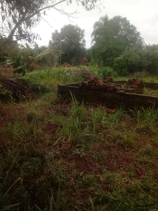 Área rural, foto 5
