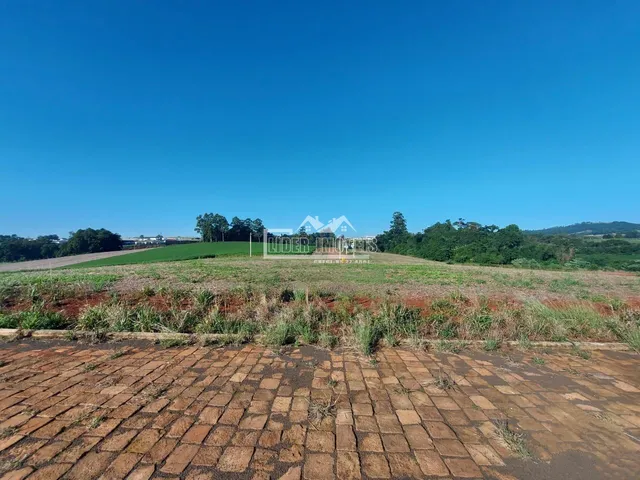 Terreno, foto 3