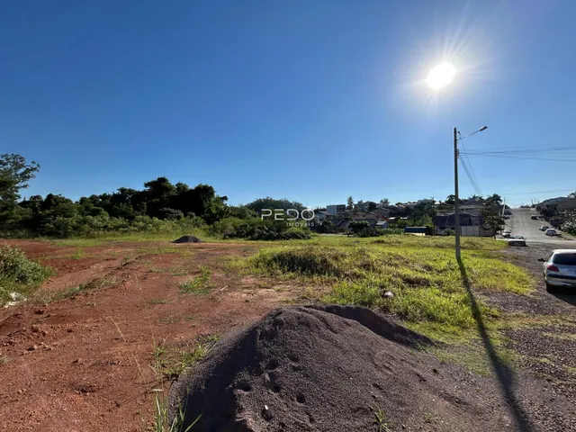 Paisagem de terra e vegetação em uma área aberta.