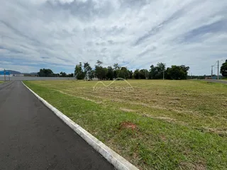 Vista de um campo aberto com grama e árvores ao fundo.