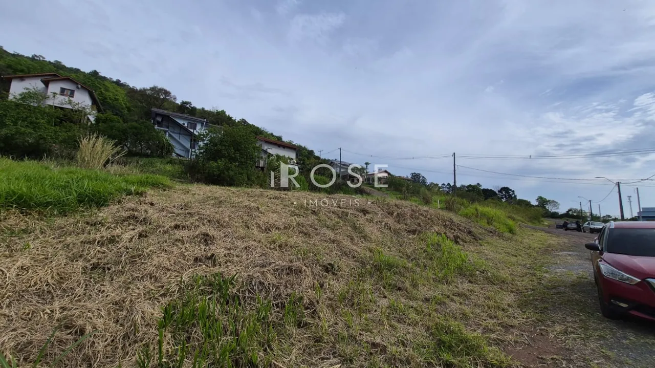 Paisagem de terreno com grama seca em Lajeado.