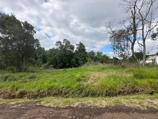 Terreno, foto 1