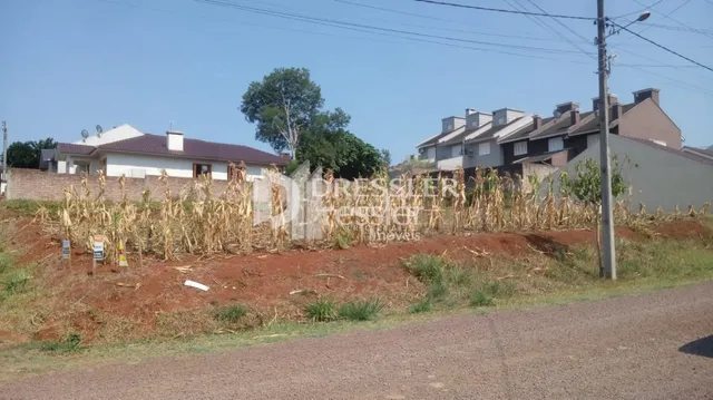 Vista da propriedade com vegetação seca na frente e uma casa ao fundo.