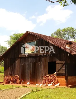 Área rural com 3 dormitórios, foto 10