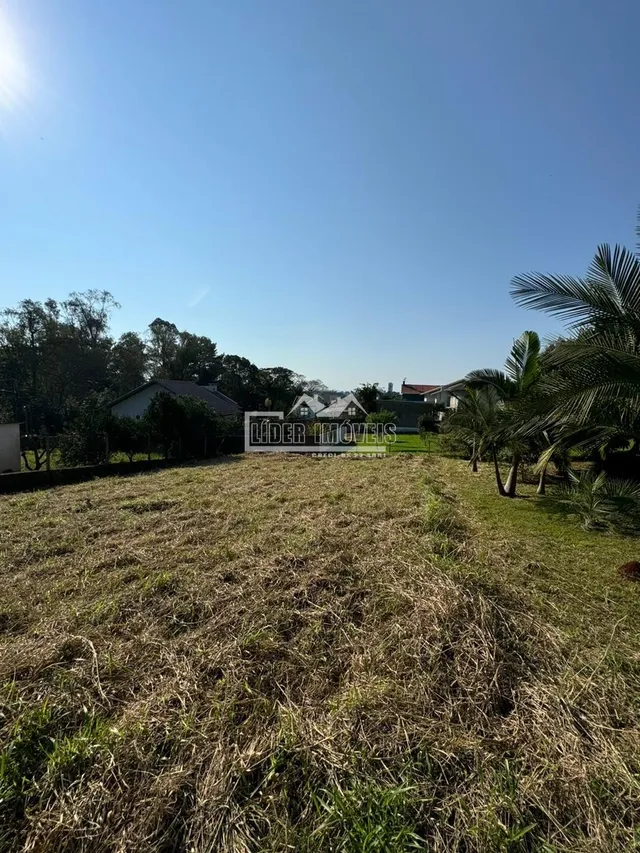 Campo aberto com vegetação no fundo sob um céu azul.