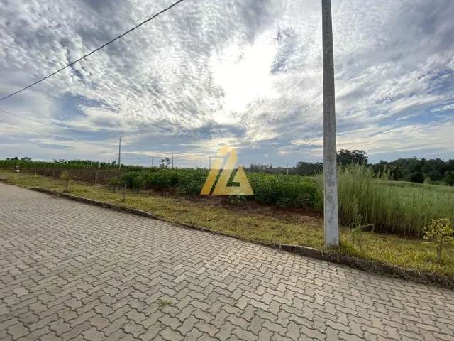 Terreno, foto 3
