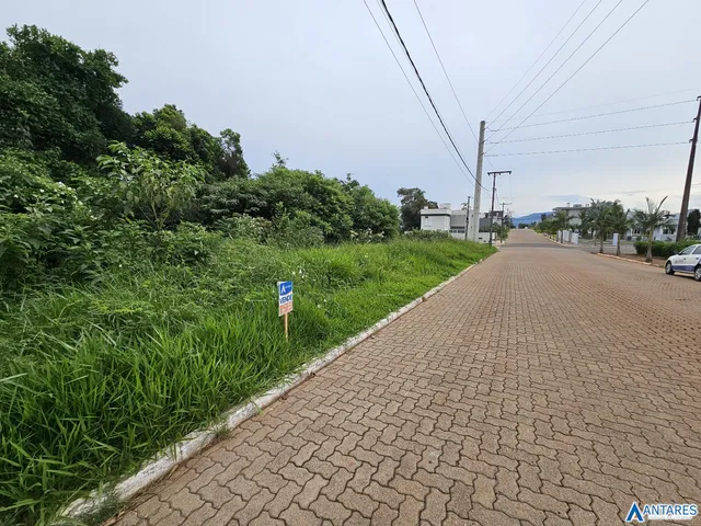 Terreno, foto 3