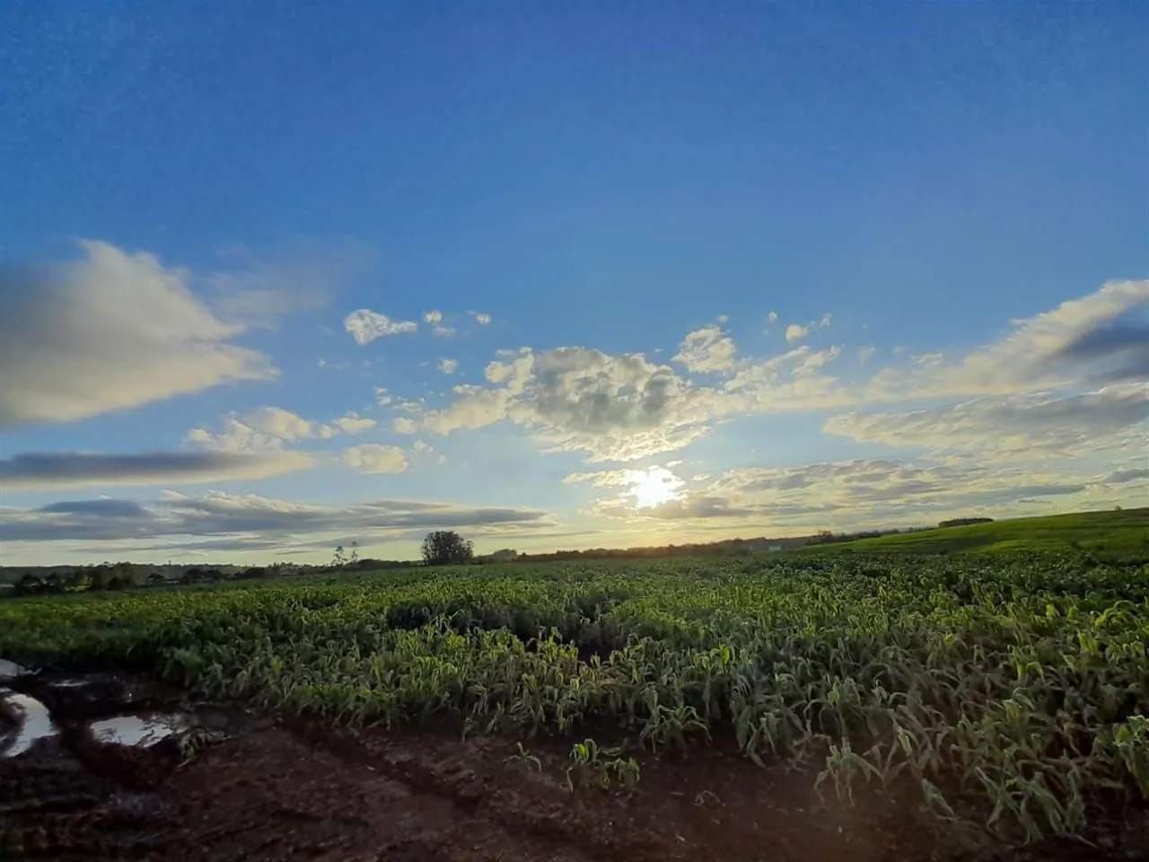 Área rural, foto 1