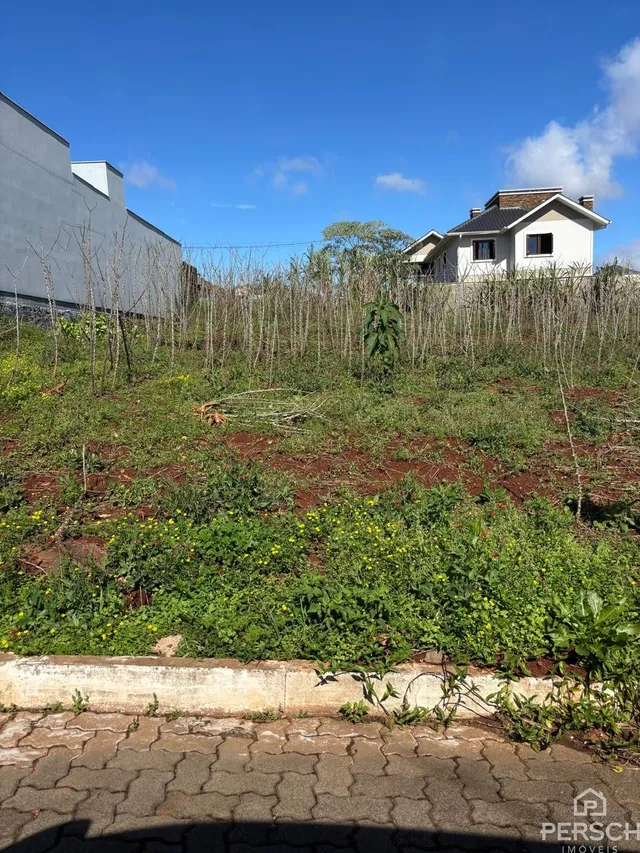 Terreno, foto 4