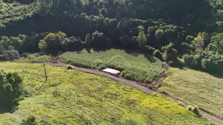 Vista aérea de uma área rural com plantações e vegetação densa em Lajeado.