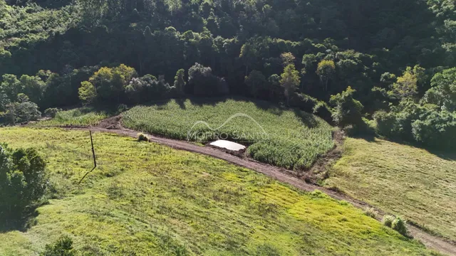 Vista aérea de uma área rural com plantações e vegetação densa em Lajeado.