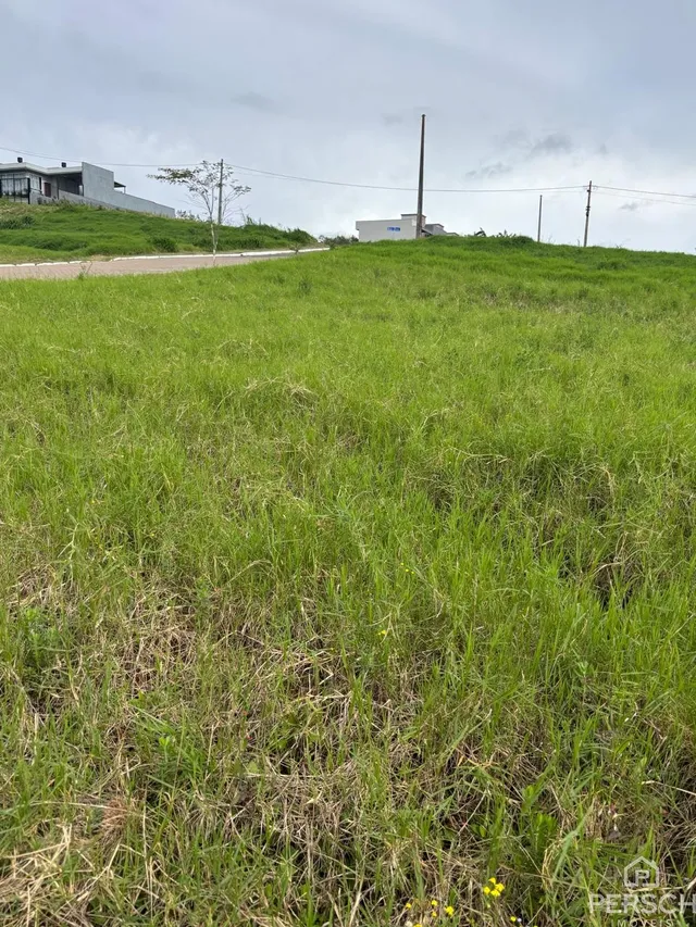 Terreno, foto 3