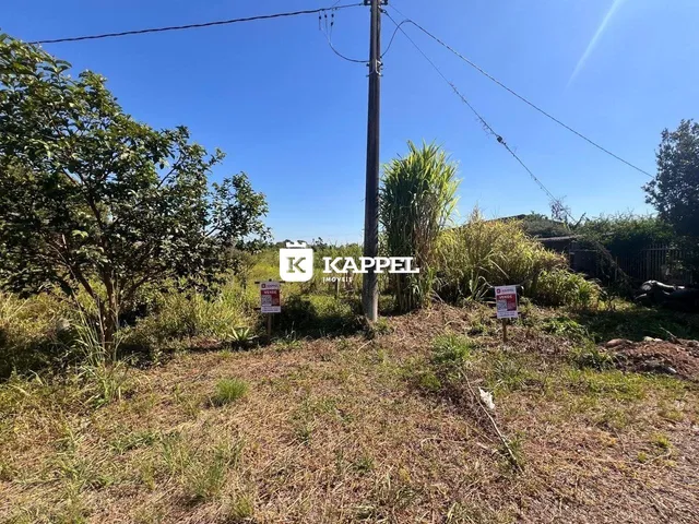 Vista externa de um terreno com vegetação seca e grama alta sob céu azul.