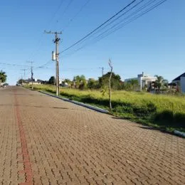 Vista de uma rua pavimentada com vegetação ao longo da via em Lajeado.