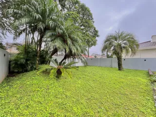 Jardim verde com palmeiras e muro branco na propriedade.