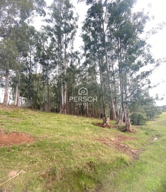 Área rural, foto 5