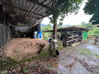 Área rural com 2 dormitórios, foto 23