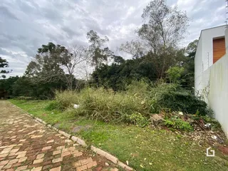 Terreno, foto 2