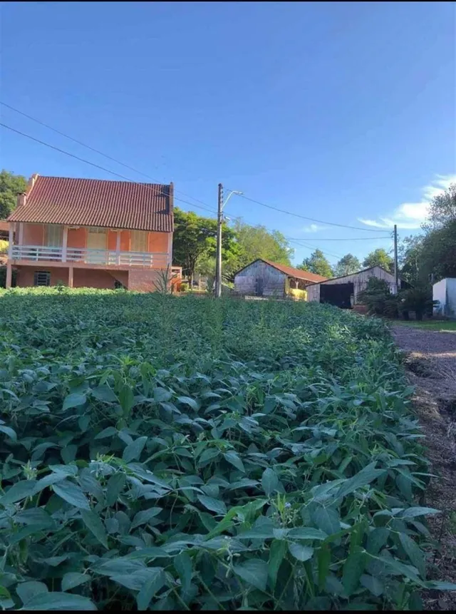 Área rural com 1 dormitório, foto 5