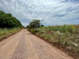 Uma estrada de terra se estende por uma paisagem com vegetação ao redor.