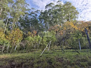 Área rural, foto 41