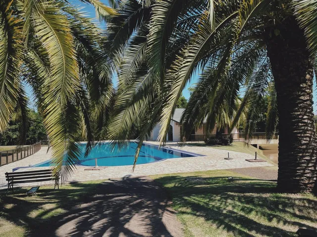 Vista externa de uma piscina e jardim com palmeiras.
