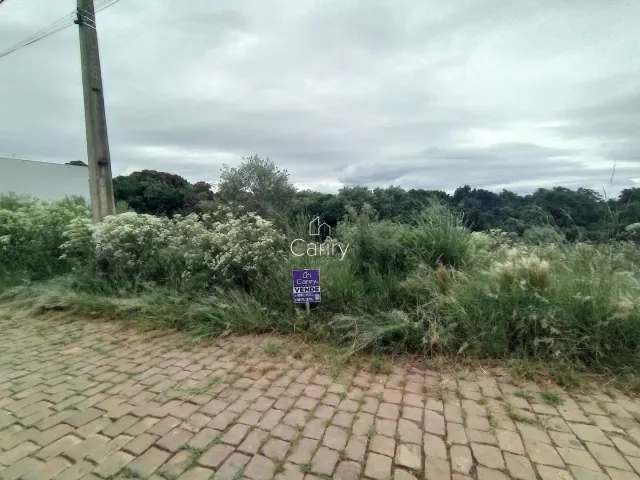 Terreno, foto 2