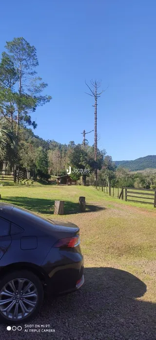 Área rural com 4 dormitórios, foto 3