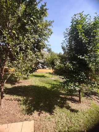 Casa com 3 dormitórios, foto 17