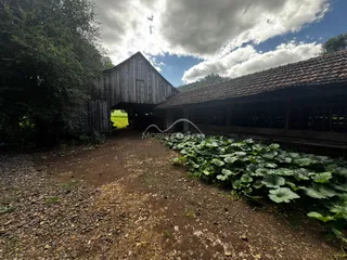 Vista externa de um caminho de terra com vegetação densa e uma estrutura de madeira ao fundo.
