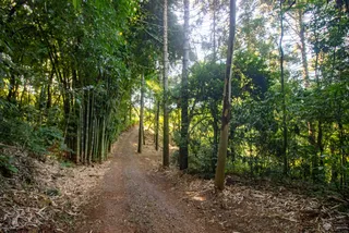 Área rural com 4 dormitórios, foto 50