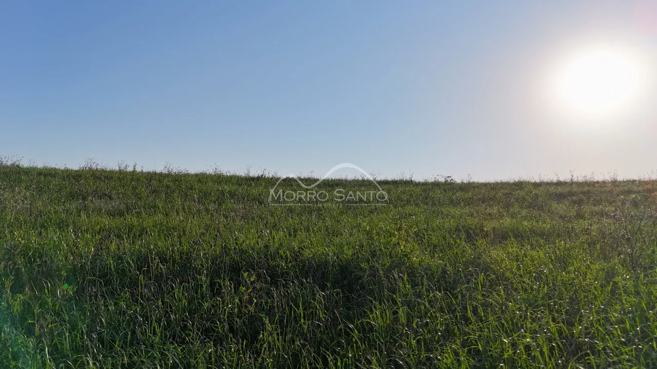 Área rural, foto 1