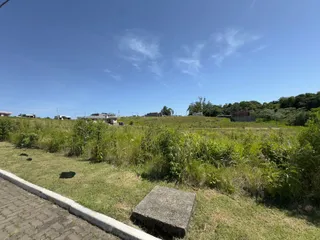 Vista panorâmica da paisagem externa com vegetação alta e estruturas distantes.