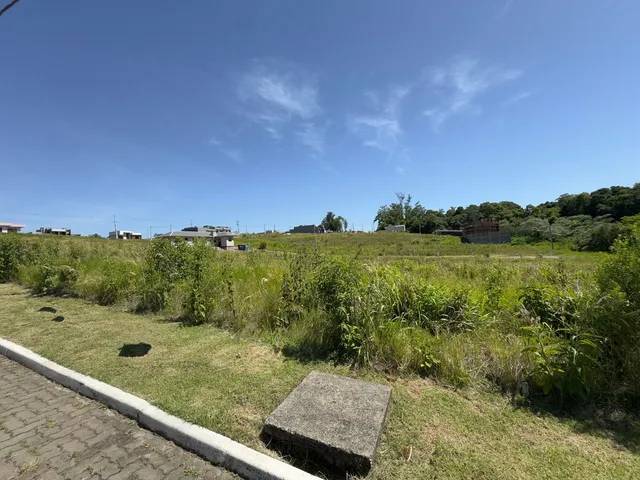 Vista panorâmica da paisagem externa com vegetação alta e estruturas distantes.
