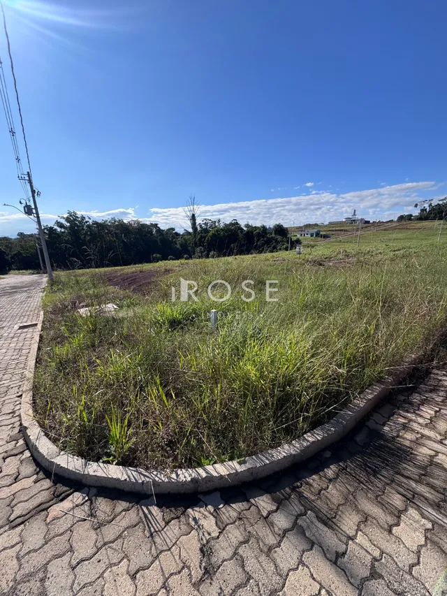 Vista externa da propriedade com grama alta e pavimento de tijolos.